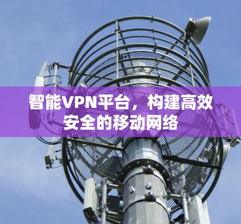 智能VPN平台,构建高效安全的移动网络 智能VPN平台,构建高效安全的移动网络