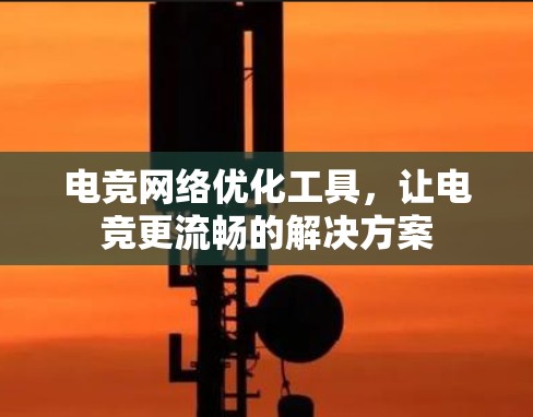 电竞网络优化工具,让电竞更流畅的解决方案 电竞网络优化工具,让电竞更流畅的解决方案