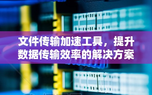 文件传输加速工具，提升数据传输效率的解决方案