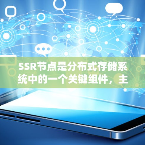 SSR节点是分布式存储系统中的一个关键组件，主要用于存储和管理数据。以下是对SSR节点使用方法的详细说明