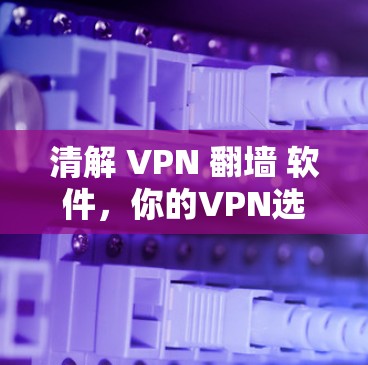 清解 VPN 翻墙 软件，你的VPN选择在哪？