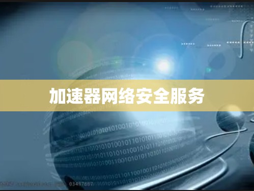 加速器网络安全服务