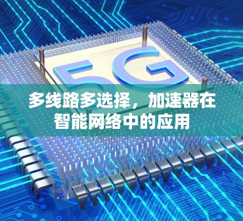 多线路多选择，加速器在智能网络中的应用