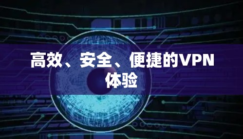 高效、安全、便捷的VPN体验 高效、安全、便捷的VPN体验