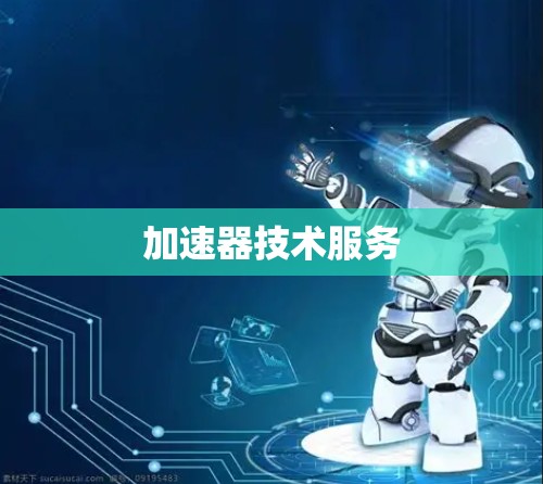 加速器技术服务