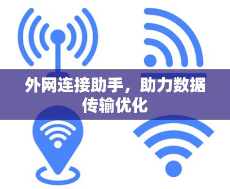 外网连接助手，助力数据传输优化