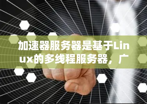 加速器服务器是基于Linux的多线程服务器，广泛应用于高性能计算和多任务处理。以下是一个详细而系统的加速器服务器节点列表，涵盖不同功能和配置选项，帮助用户更好地理解加速器服务器的结构和使用