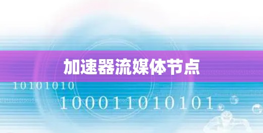 加速器流媒体节点