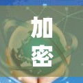 加密云网络,防范网络威胁的新型防护方案