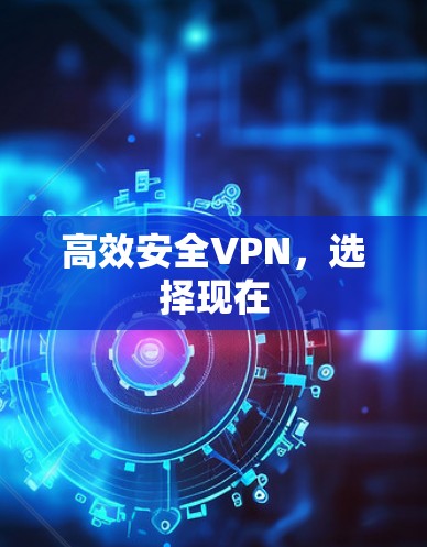 高效安全VPN,选择现在