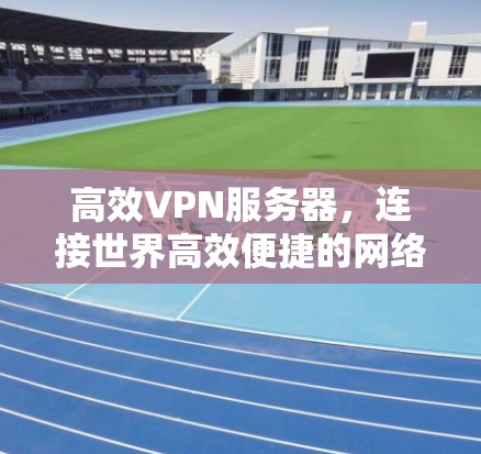 高效VPN服务器,连接世界高效便捷的网络基础设施