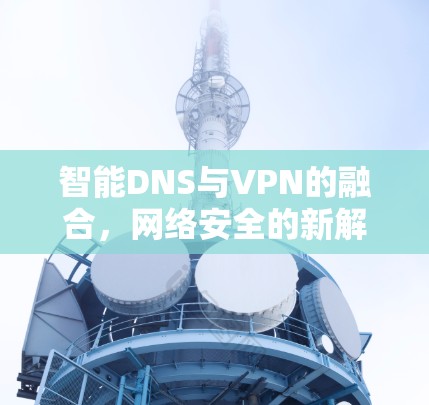 智能DNS与VPN的融合,网络安全的新解决方案