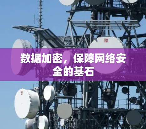 数据加密，保障网络安全的基石