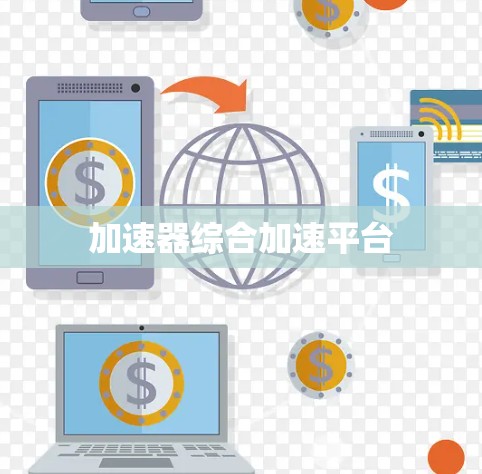 加速器综合加速平台