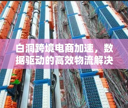 白洞跨境电商加速,数据驱动的高效物流解决方案