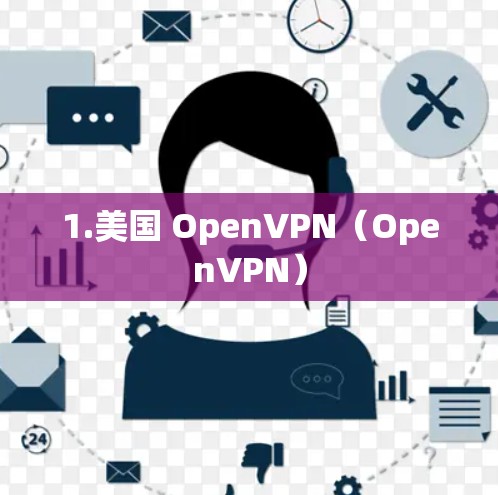1.美国 OpenVPN(OpenVPN)