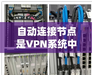 自动连接节点是VPN系统中用于连接到不同网络环境的设备或软件。以下是对该问题的分步解释
