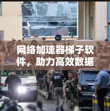 网络加速器梯子软件,助力高效数据传输