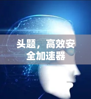 头题,高效安全加速器