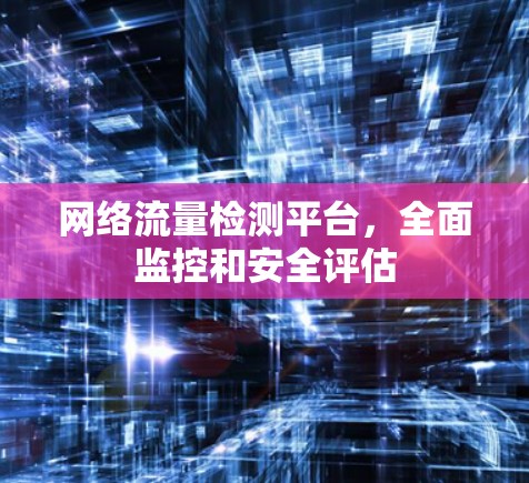 网络流量检测平台,全面监控和安全评估