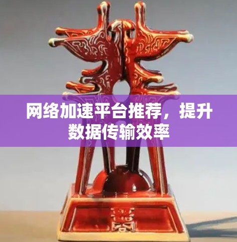 网络加速平台推荐，提升数据传输效率