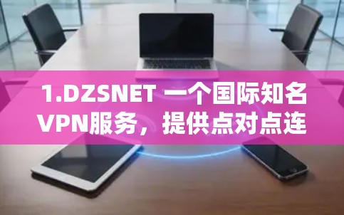 1.DZSNET 一个国际知名VPN服务,提供点对点连接