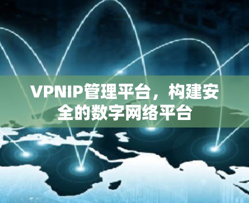 VPNIP管理平台,构建安全的数字网络平台