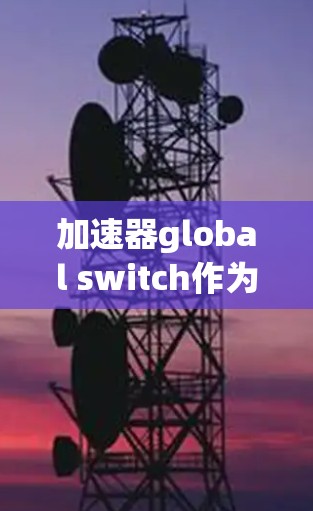 加速器global switch作为一种集成式的加速器插件,确实以其方便和高效著称。以下是对其功能和使用的一些总结
