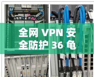 全网 VPN 安全防护 36 龟