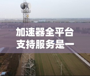 加速器全平台支持服务是一个集多种加速工具于一身的系统，旨在提升电脑的性能和用户体验。以下是对该服务的系统架构和功能的详细说明