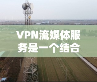 VPN流媒体服务是一个结合VPN技术和流媒体平台的解决方案，旨在为用户提供在线观看的高刷新率和丰富的内容。以下是关于VPN流媒体服务的详细信息