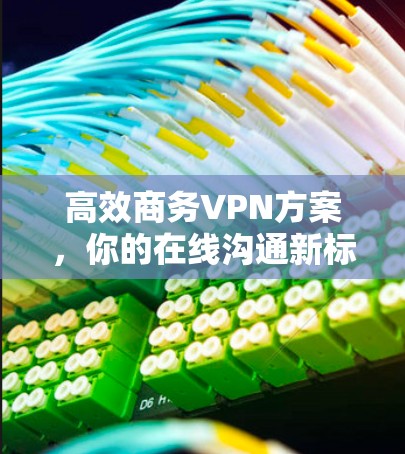 高效商务VPN方案，你的在线沟通新标准