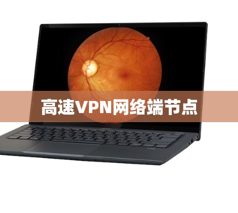 高速VPN网络端节点