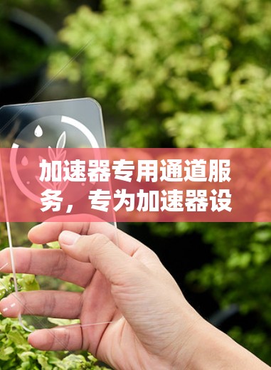 加速器专用通道服务,专为加速器设计的高效网络解决方案