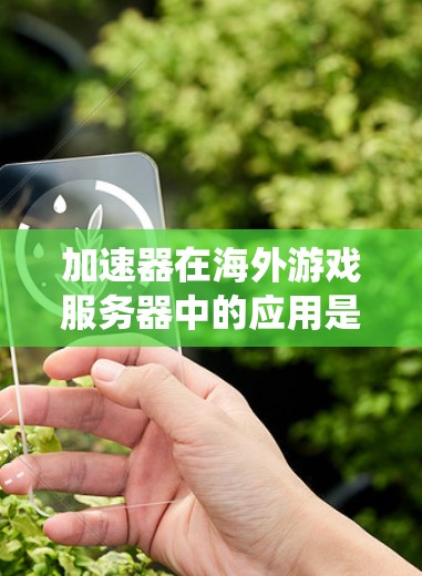 加速器在海外游戏服务器中的应用是一个复杂且需要仔细考虑的问题。以下是对加速器在海外服务器中的应用的系统性分析