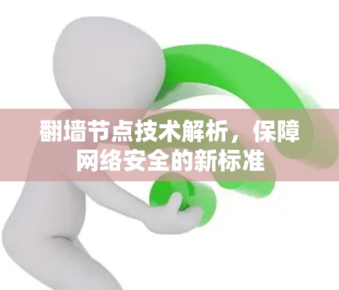 翻墙节点技术解析，保障网络安全的新标准
