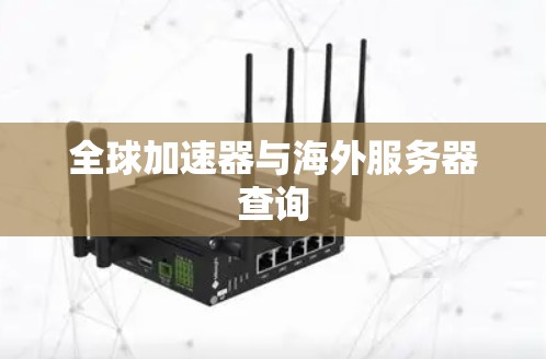 全球加速器与海外服务器查询