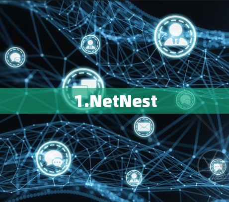1.NetNest