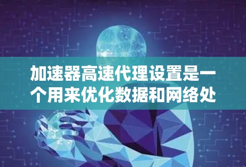 加速器高速代理设置是一个用来优化数据和网络处理性能的系统设置,主要用于在高速服务器或存储设备上配置加速器设备,提升处理速度和网络连接的稳定性。以下是对该功能的详细解析