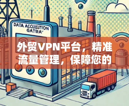 外贸VPN平台,精准流量管理,保障您的网络安全