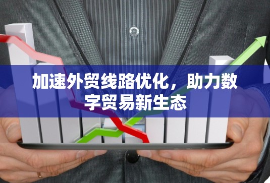 加速外贸线路优化,助力数字贸易新生态