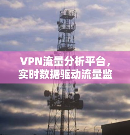 VPN流量分析平台，实时数据驱动流量监控与优化