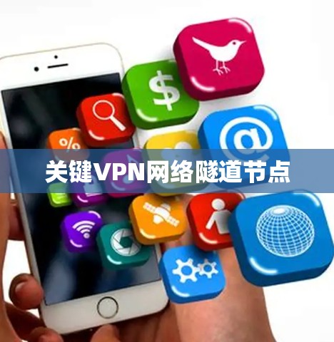 关键VPN网络隧道节点