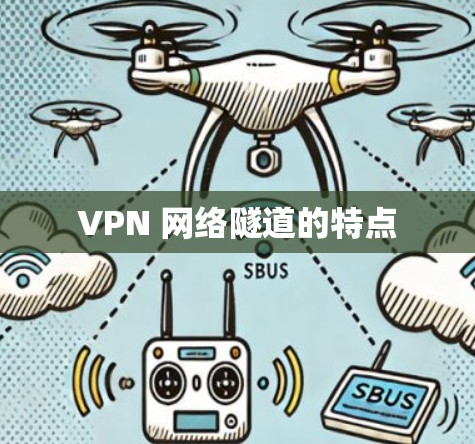 VPN 网络隧道的特点 VPN 网络隧道的特点
