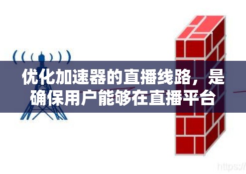 优化加速器的直播线路，是确保用户能够在直播平台中获得最佳体验的关键步骤。以下是一步步的优化建议