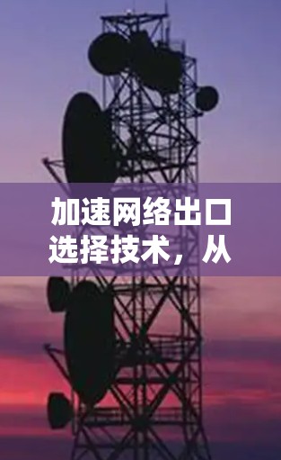 加速网络出口选择技术，从基础到应用