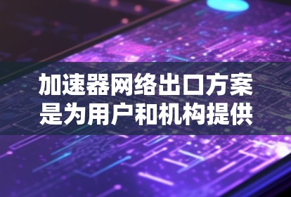 加速器网络出口方案是为用户和机构提供一种高效、安全的网络传输方式,特别适用于需要快速访问和多用户访问的场景。以下是一个详细的网络出口方案,涵盖网络配置、设备部署、管理、测试和维护等方面