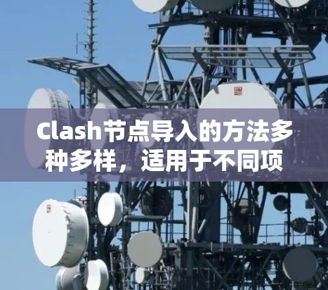 Clash节点导入的方法多种多样,适用于不同项目的需求。以下是一些常用的方法和步骤,帮助用户顺利导入节点