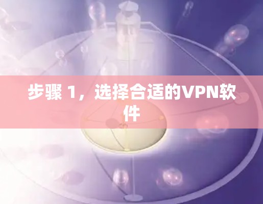 步骤 1,选择合适的VPN软件