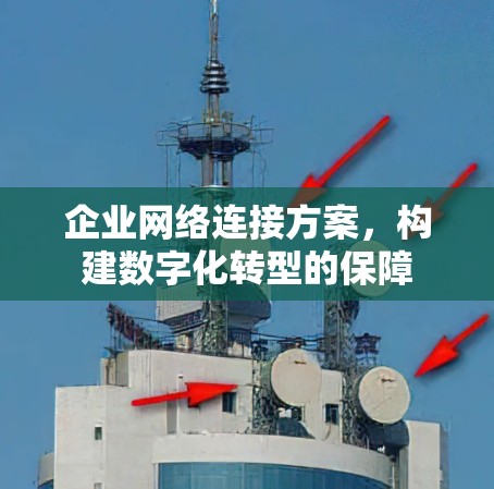 企业网络连接方案，构建数字化转型的保障